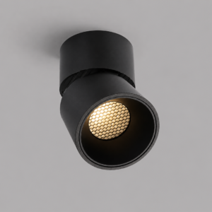 Spot LED de aplicar orientable Cilya12 3000K